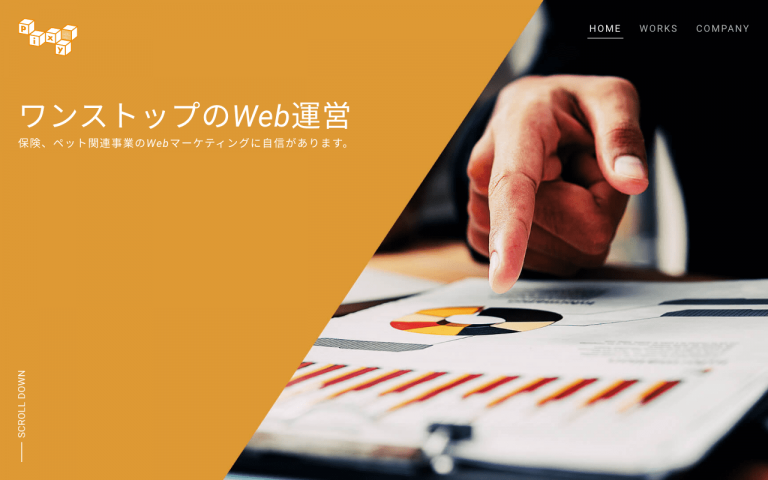 株式会社ピクシー