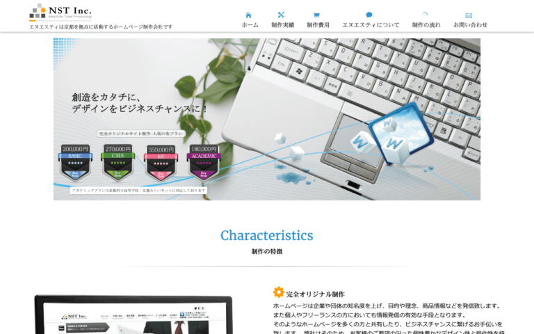 有限会社エヌエスティ