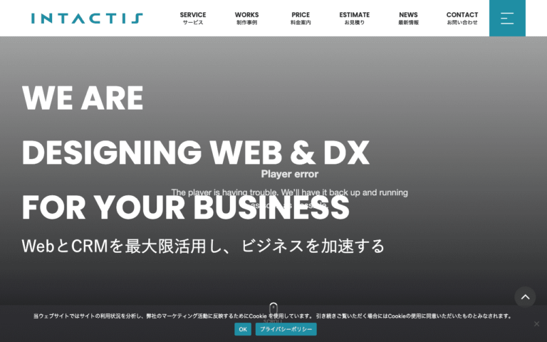 株式会社インタクティス