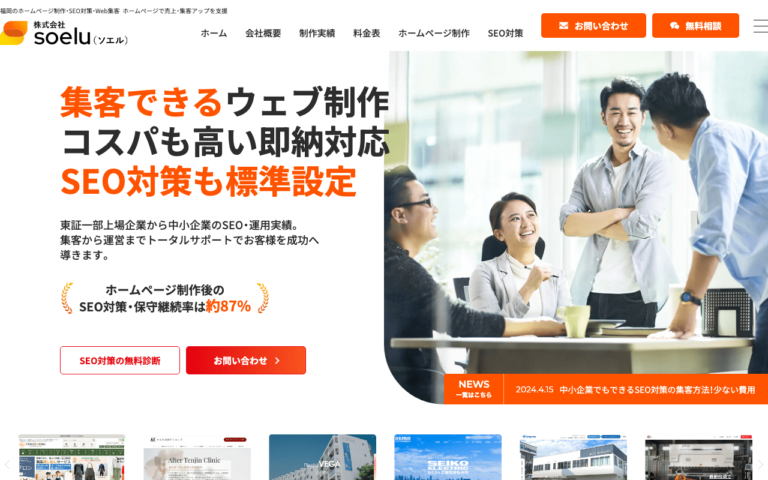 株式会社Soelu