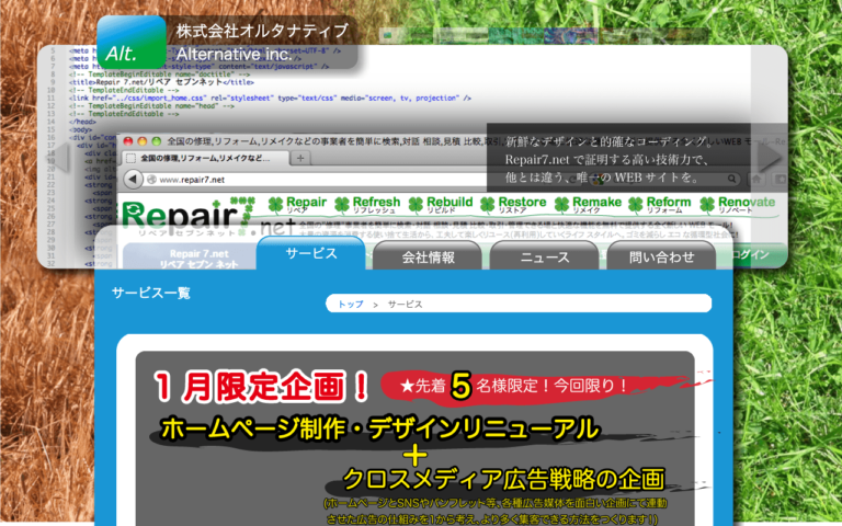 株式会社オルタナティブ