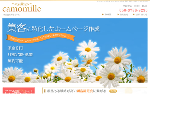 株式会社カモミール