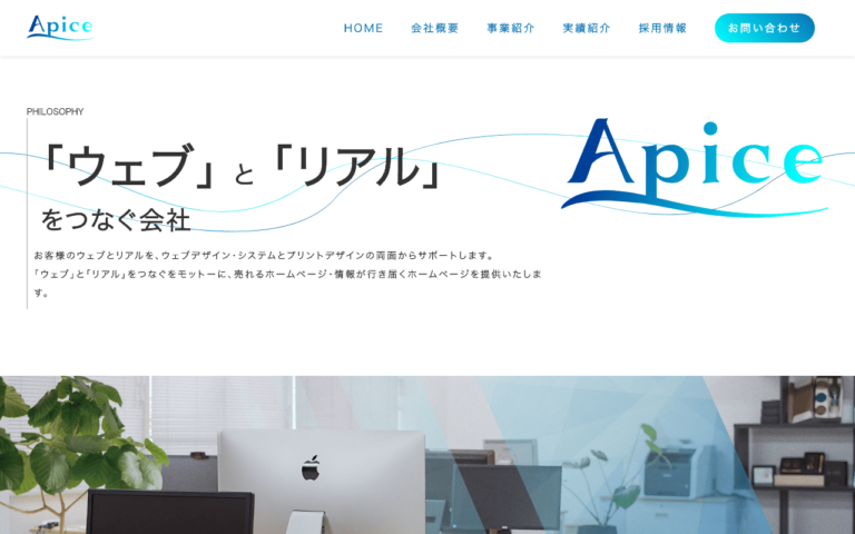 株式会社エイピス