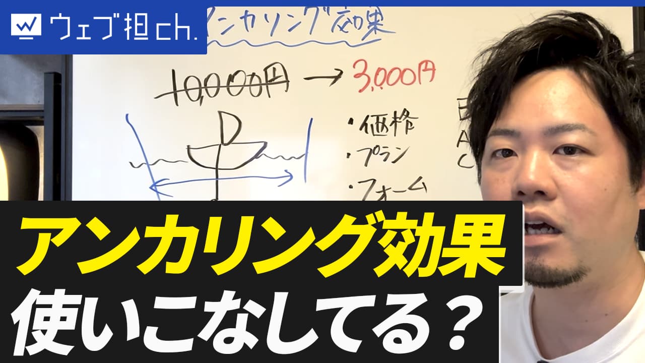 Web担当者必見！顧客を誘導する「アンカリング効果」の正しい使い方