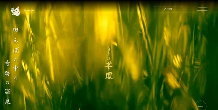華鳳